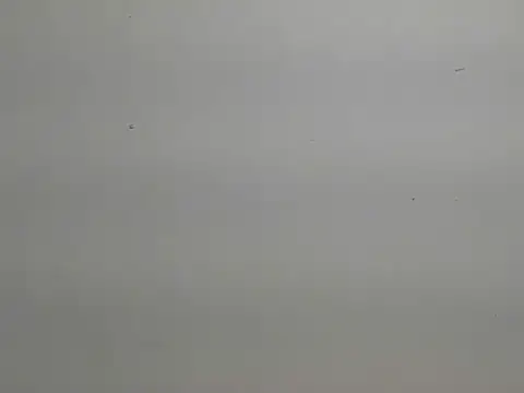 risu 00 online show from 03-06-26, 03:30