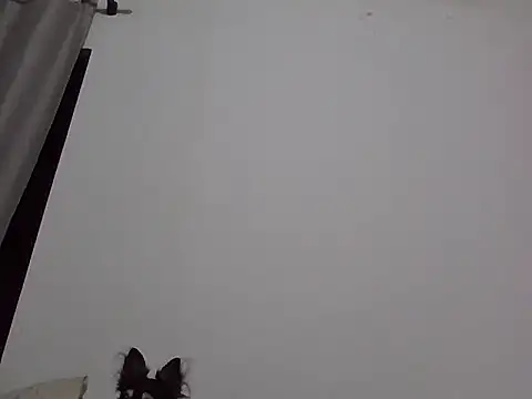 machodotado97 online show from 03-02-26, 05:41