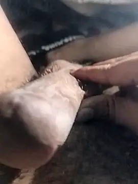 taherDzzf online show from 04-17-26, 11:19