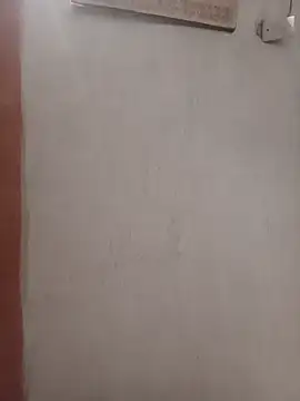 negopreto  online show from 07-19-26, 02:48