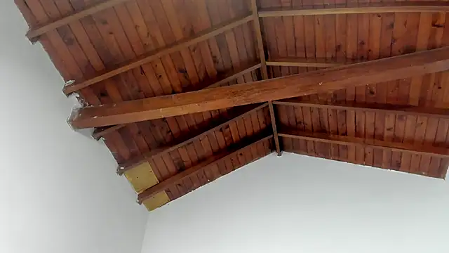 TonyPetrovjs online show from 03-15-26, 07:36