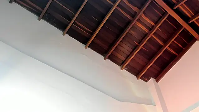 TonyPetrovjs online show from 04-01-26, 04:57