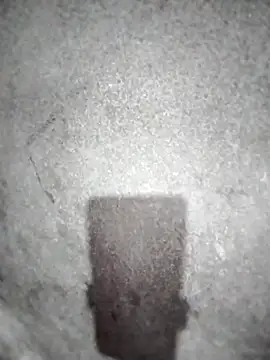 ngocbao11 online show from 03-10-26, 12:54