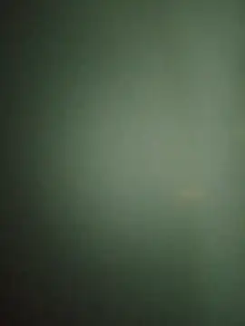 truble78 online show from 03-29-26, 01:44