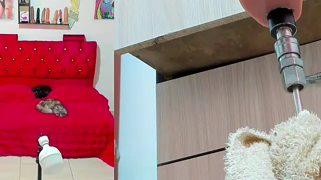 bella  funny online show from 05-13-26, 06:05