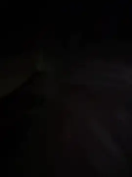 BunnyYT online show from 07-30-26, 04:33