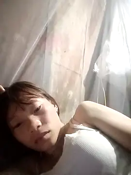 pic8800 online show from 03-31-26, 07:14