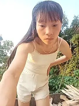 pic8800 online show from 05-16-26, 10:36