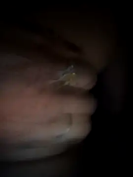 Snapshot of Rashmika_Mandana chatting on 03-18-26, 06:55 Rashmika Mandana online show from 03-18-26, 06:55