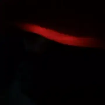 yaocaobi8 online show from 03-19-26, 10:25