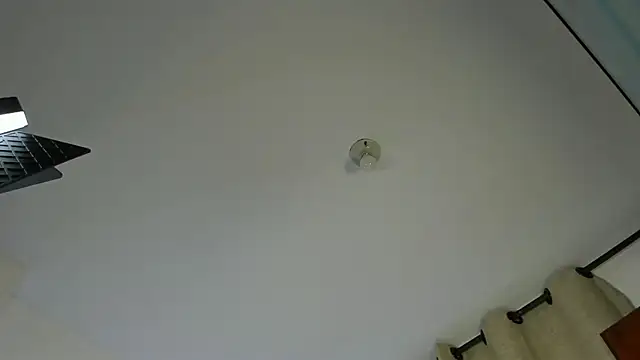 Rebeca Marchetti online show from 04-07-26, 08:42