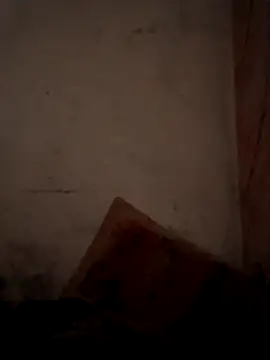 CoralN online show from 04-01-26, 03:51