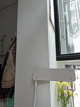 alexandeerr1986 online show from 06-11-26, 01:31