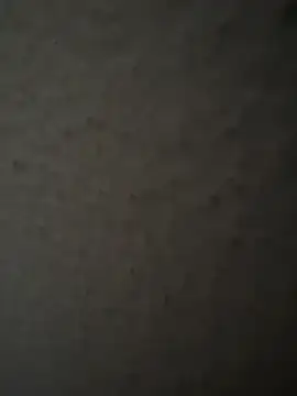 Snapshot of MIABCDZ chatting on 05-12-26, 01:58 MIABCDZ online show from 05-12-26, 01:58