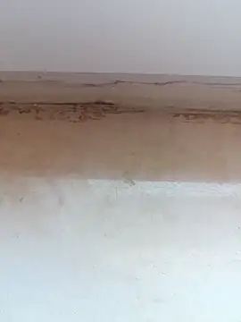 Snapshot of jeniferoo chatting on 03-11-26, 08:42 jeniferoo online show from 03-11-26, 08:42