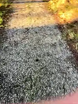 Sweetlauu online show from 03-01-26, 07:54