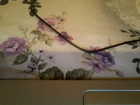 danbig01 online show from 05-31-26, 11:28