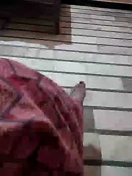 Tamillaxmi12 online show from 03-01-26, 03:58