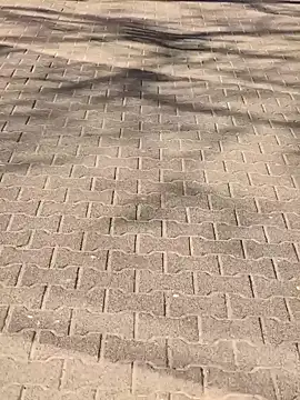 MarekPublicShow online show from 03-06-26, 01:18