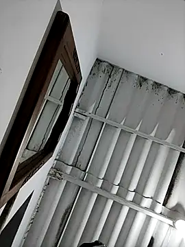 Mar chelo online show from 04-26-26, 07:39