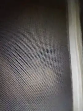 mylove-cute online show from 04-11-26, 09:52