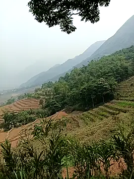 Yuhi3d online show from 04-14-26, 03:45