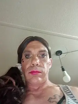 transrandi69 online show from 03-08-26, 04:38