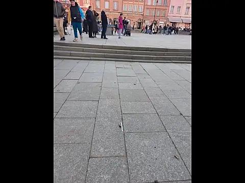 PublicMarekFlashDick online show from 03-14-26, 02:44