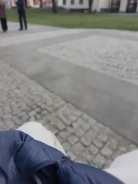 PublicMarekFlashDick online show from 03-28-26, 02:38