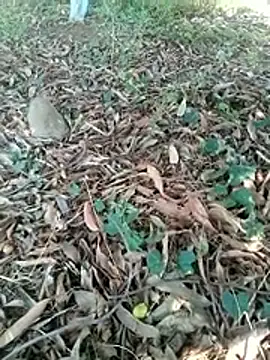 new sexy couple online show from 04-07-26, 07:20