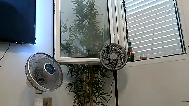 yanick931 online show from 07-27-26, 11:39