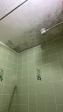 sylphiee  online show from 04-08-26, 11:54