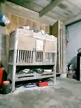 hasaki001 online show from 03-27-26, 10:20