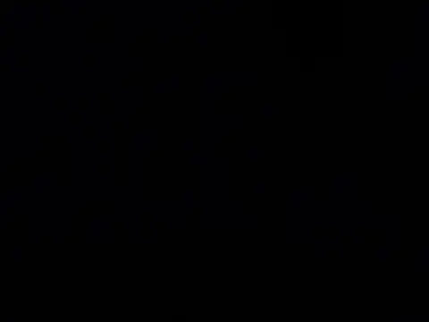 Cunzhangshibage02 online show from 05-11-26, 02:45