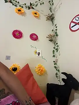 SpidderSecret online show from 06-04-26, 02:28