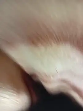 MaSimo 23 online show from 03-14-26, 09:31