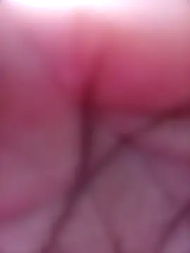 Snapshot of SexyJellyBee chatting on 03-18-26, 11:57 SexyJellyBee online show from 03-18-26, 11:57