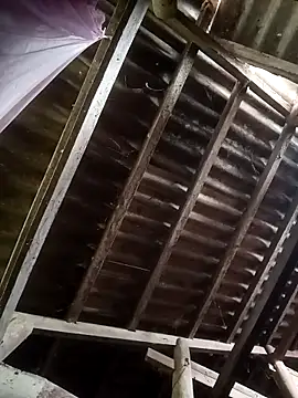 Snapshot of Nthk6 chatting on 03-18-26, 06:05 Nthk6 online show from 03-18-26, 06:05