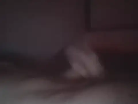 Snapshot of Foxmen9090 chatting on 03-27-26, 04:29 Foxmen9090 online show from 03-27-26, 04:29