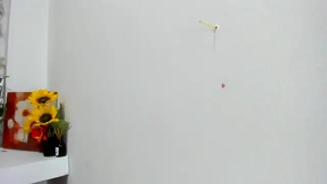 Alejandra and James  online show from 05-29-26, 11:52