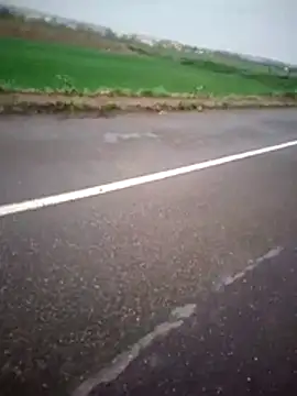 alicancetin11 online show from 04-02-26, 08:23