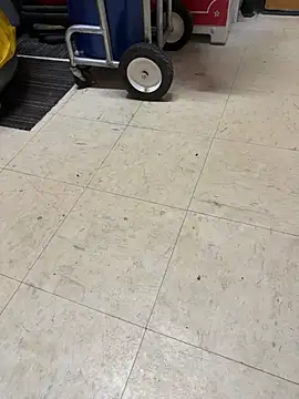 perrohot23 online show from 04-01-26, 12:50