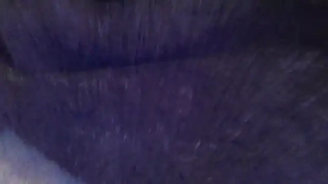basecamp5 online show from 07-12-26, 02:02