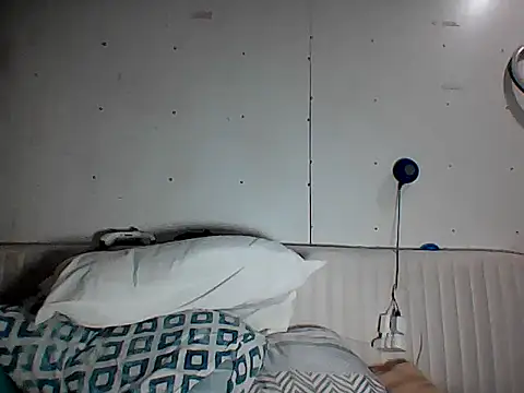 Snapshot of RMRICON chatting on 07-29-26, 01:04 RMRICON online show from 07-29-26, 01:04