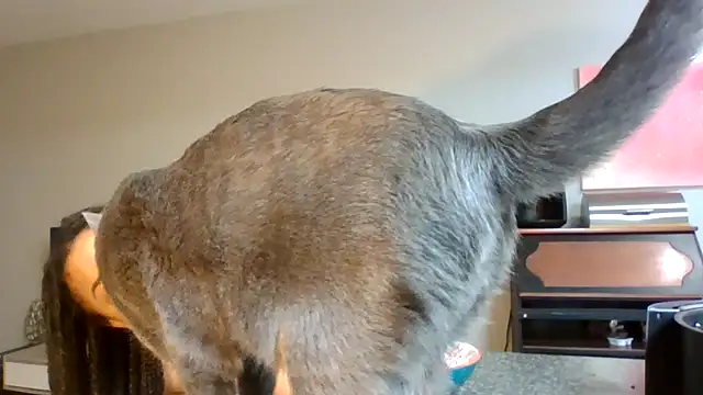 Snapshot of madzbailey chatting on 04-02-26, 12:25 madzbailey online show from 04-02-26, 12:25