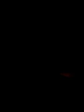Flavyaaa online show from 07-02-26, 10:38