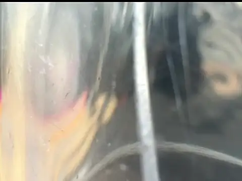 jake 1boy online show from 04-16-26, 06:41