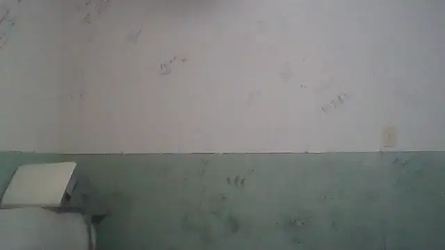 Toytroy197413 online show from 04-17-26, 03:53