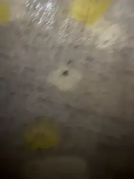 xezie online show from 04-10-26, 09:58