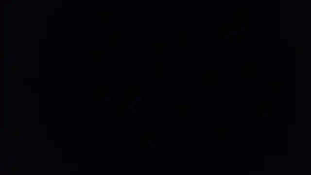 Perlaa moon  online show from 06-02-26, 12:51